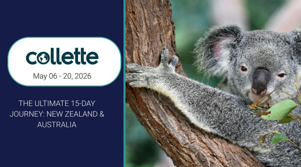 South Pacific Wonders